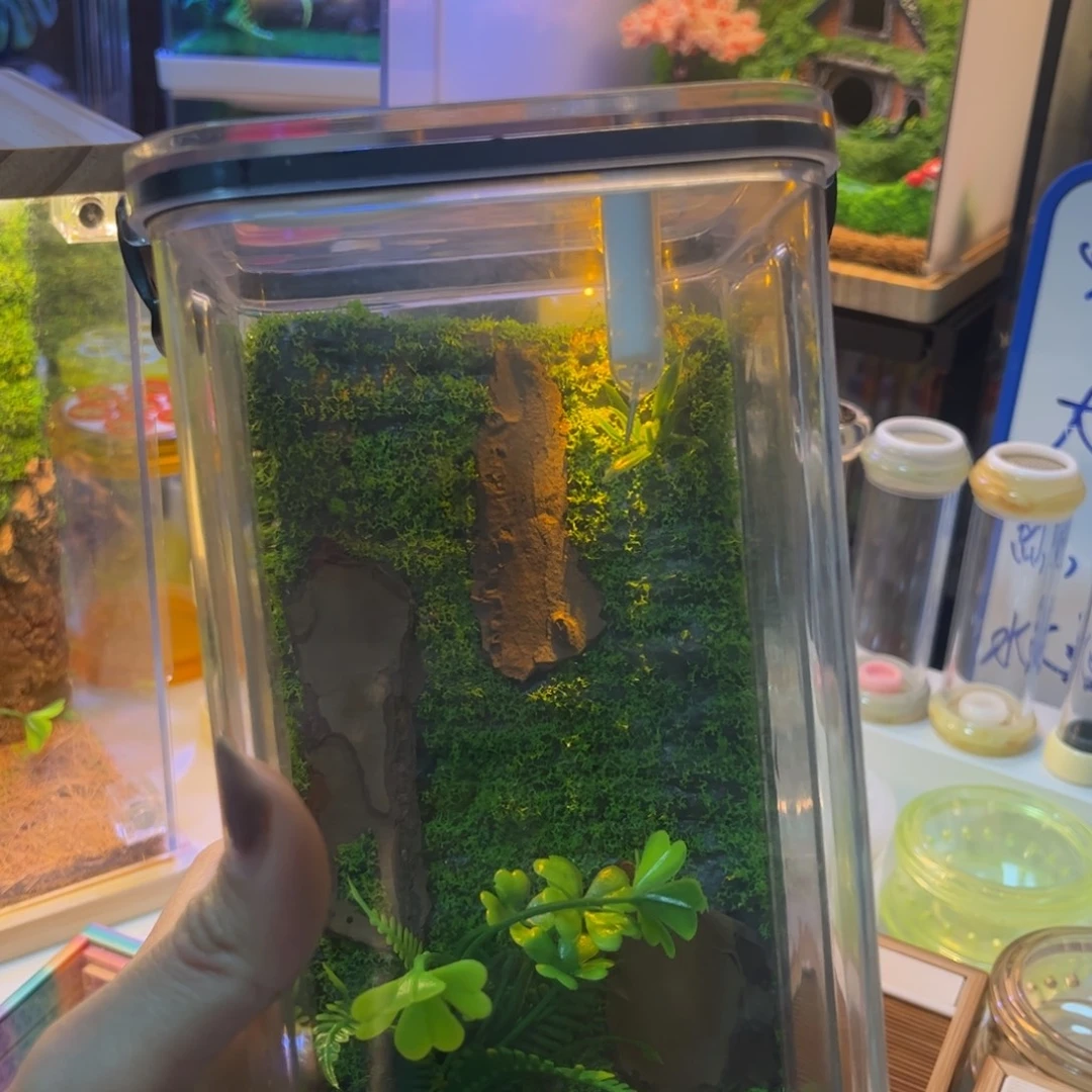老****2青竹加一套拍拍拍拍