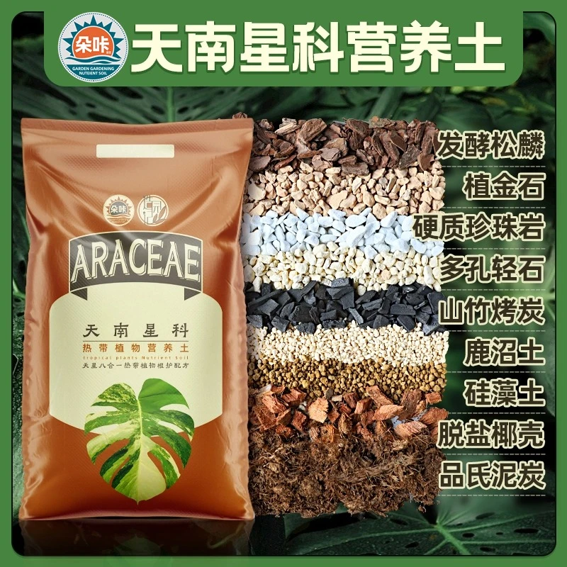 天南星科九合一配土促根绿植龟背竹适合锦化龟背竹蔓绿绒芋科花烛