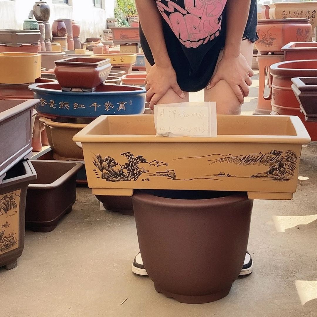 紫砂花盆紫砂花盆