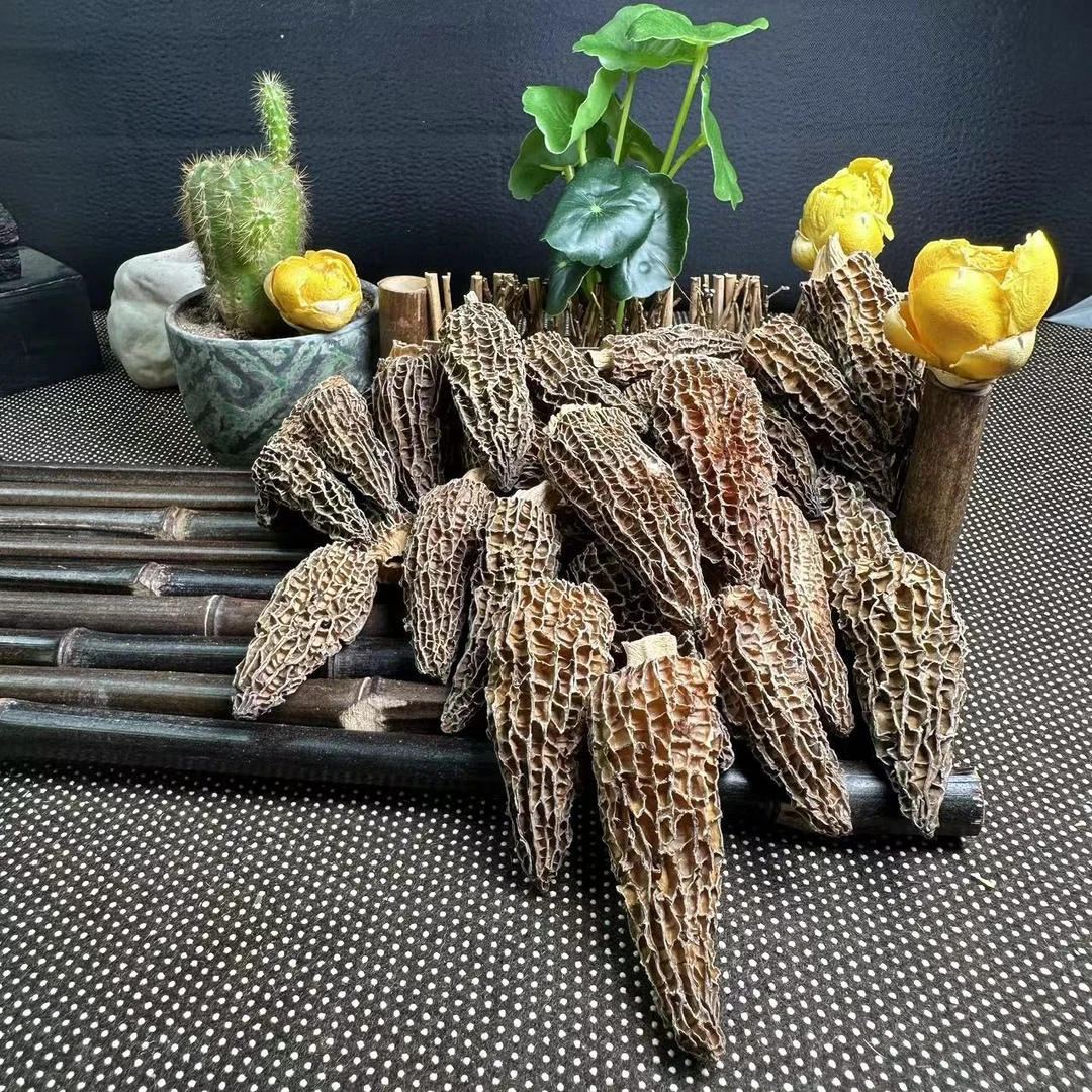 广东阳江发货  精品干羊肚菌 100-500克 羊肚菌煲汤剪柄肉厚