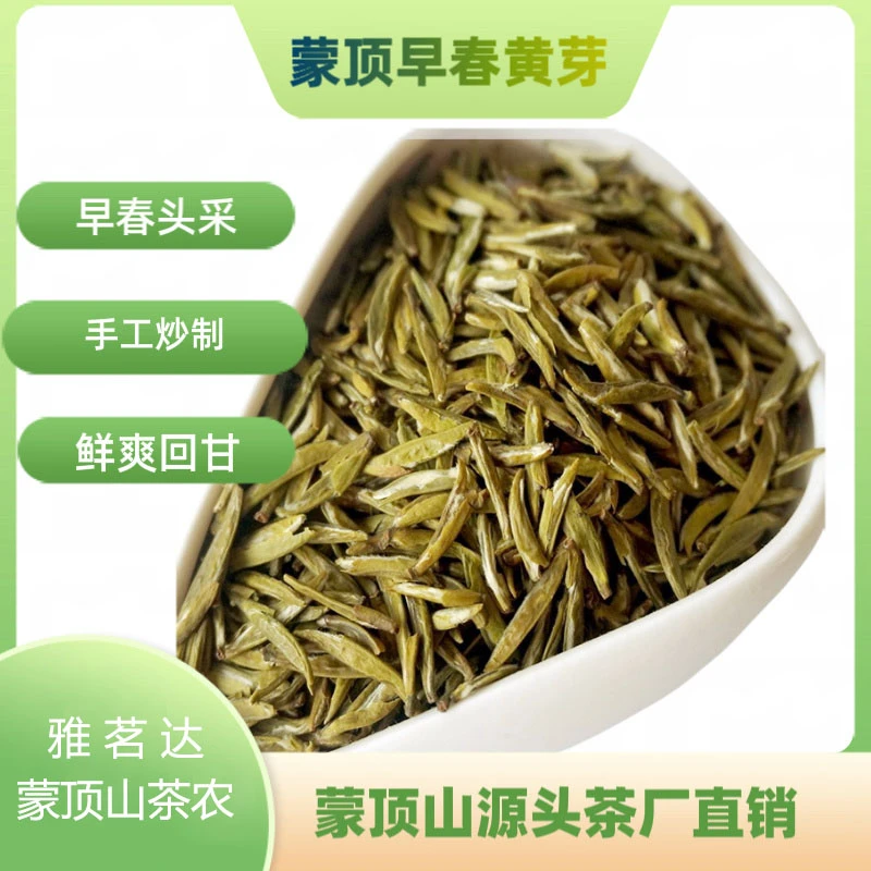 【高山蒙顶黄芽】四川蒙顶山头春头采豆香浓郁源头茶厂直销