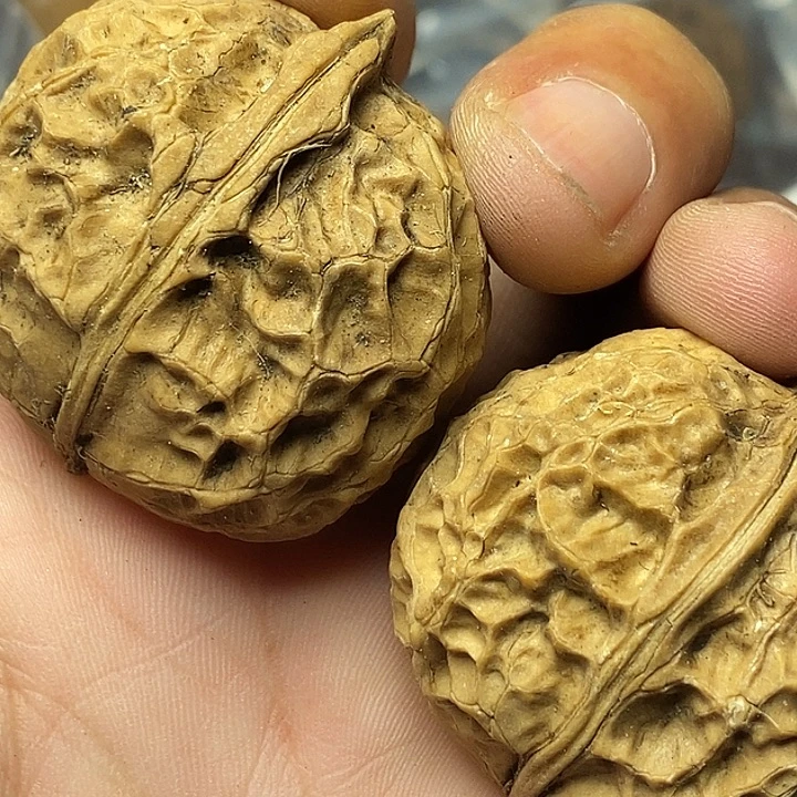 把件文玩核桃云南铁核桃52