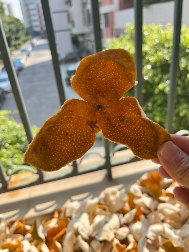 2024年新会茶坑圈枝大红皮