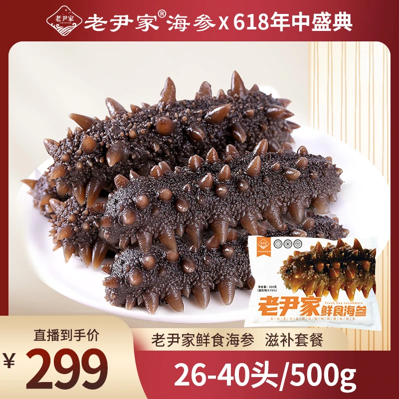 老尹家老尹家海洋牧场深海刺参鲜食海参5年滋补品500g26-40头