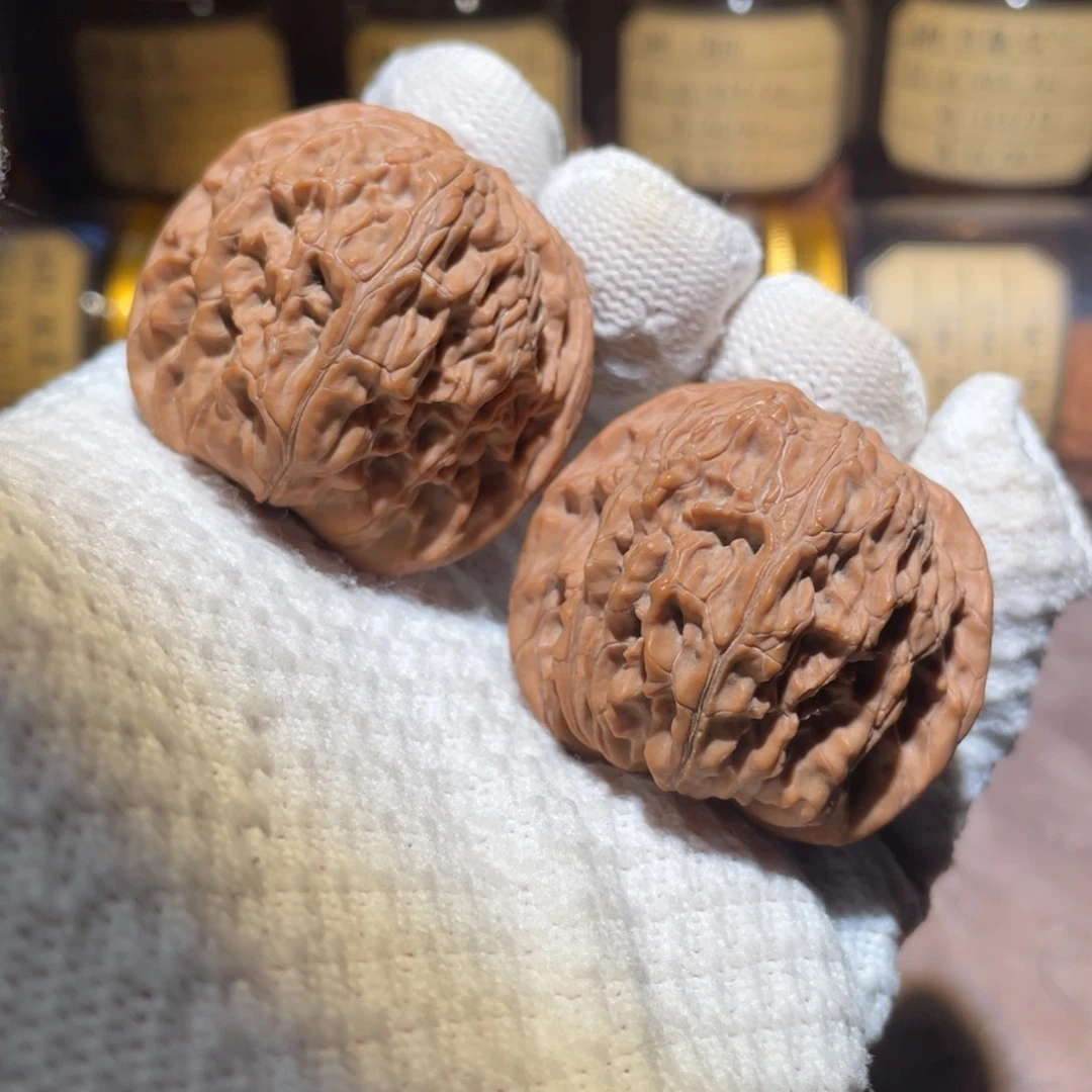 核桃43石子磨mmmmm