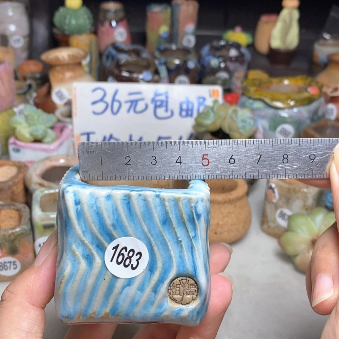 拍3送一个小礼物