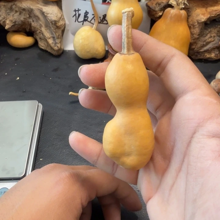 ～****888…………………………………………