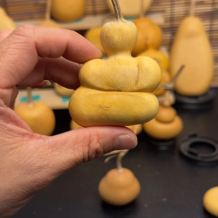 夏*55666666669889999