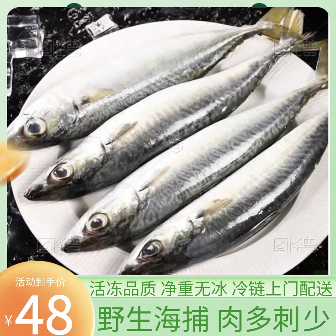 鲐鲅鱼青占鱼青鱼新鲜冷冻鲅鱼青花鱼马鲛鱼海鱼小鲅鱼燕鲭鱼鲐鱼