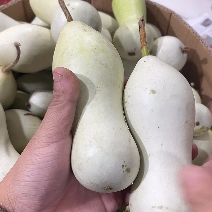 非洲紫檀（红花梨）春****月