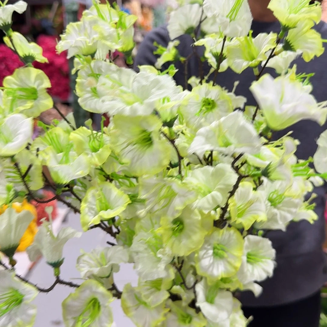 浅绿色牵牛花10支装