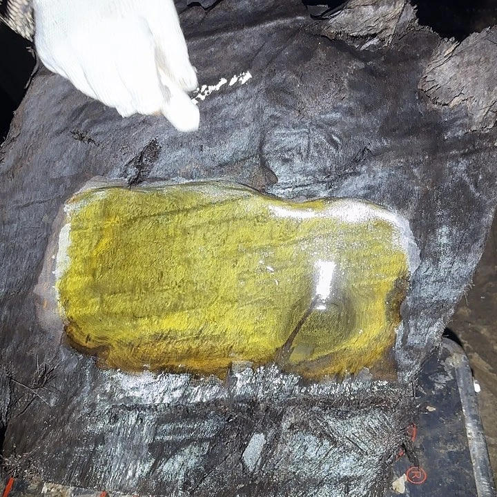 福***哥金丝楠啊啊啊啊啊