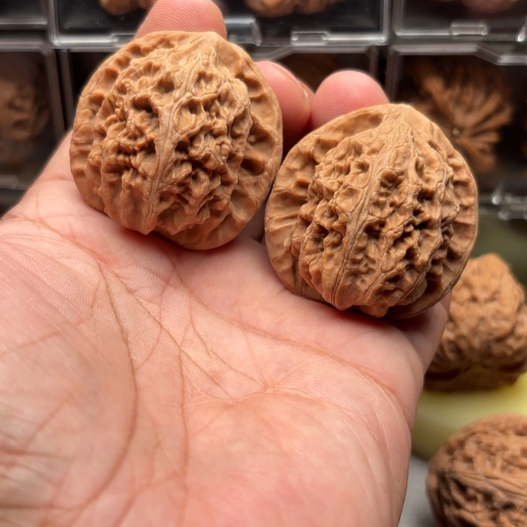 濮***韩把件文玩核桃玄武