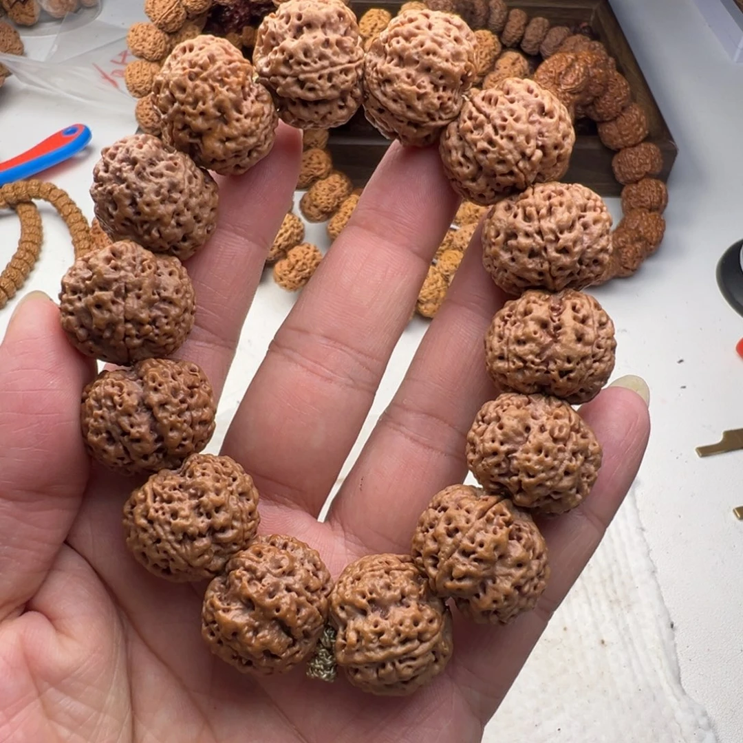 金刚菩提吊坠5瓣23飓肉蜂王