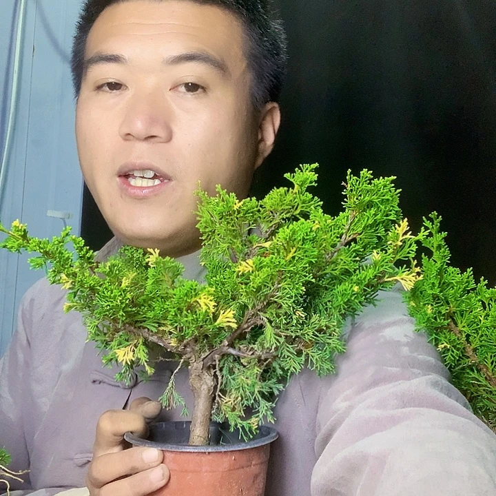明***好111111111111111111