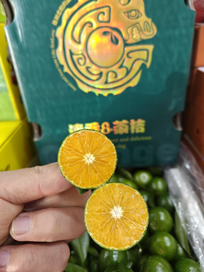 广西新鲜采摘清香茶桔[目前仅支持燕郊同城客户下单]