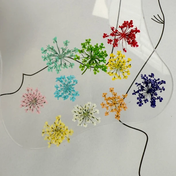 （蕾丝花）ins春日冰透干花美甲真花雪珠花满天星彩色混花瓣白色