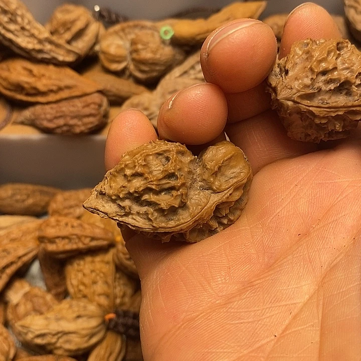 天***心吊坠文玩核桃不错