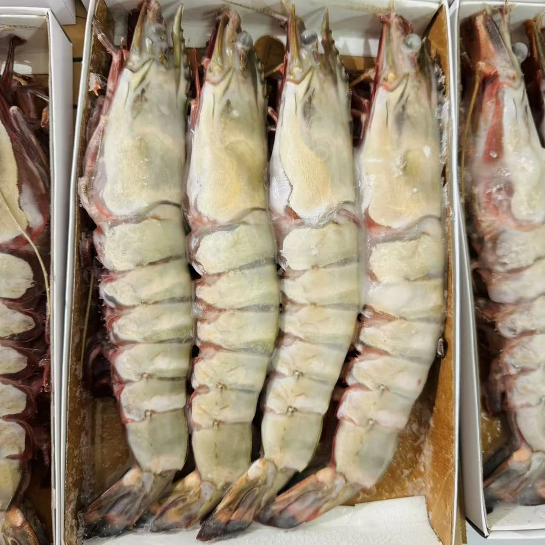 野生海捕大虾母超大对虾4只大连发货