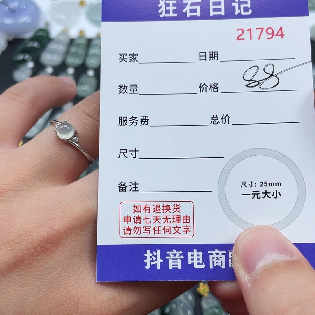 翡翠银S925镶嵌颈饰