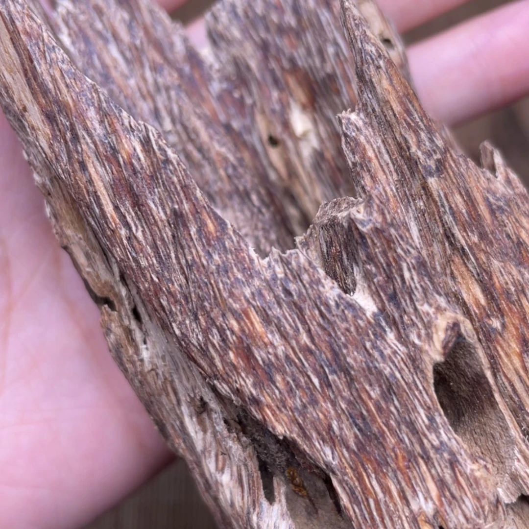 【闪购商品】香榧木海南临高虫漏61克