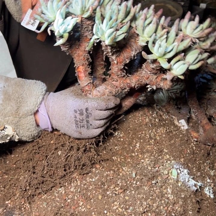 1699哈哈哈哈哈哈哈