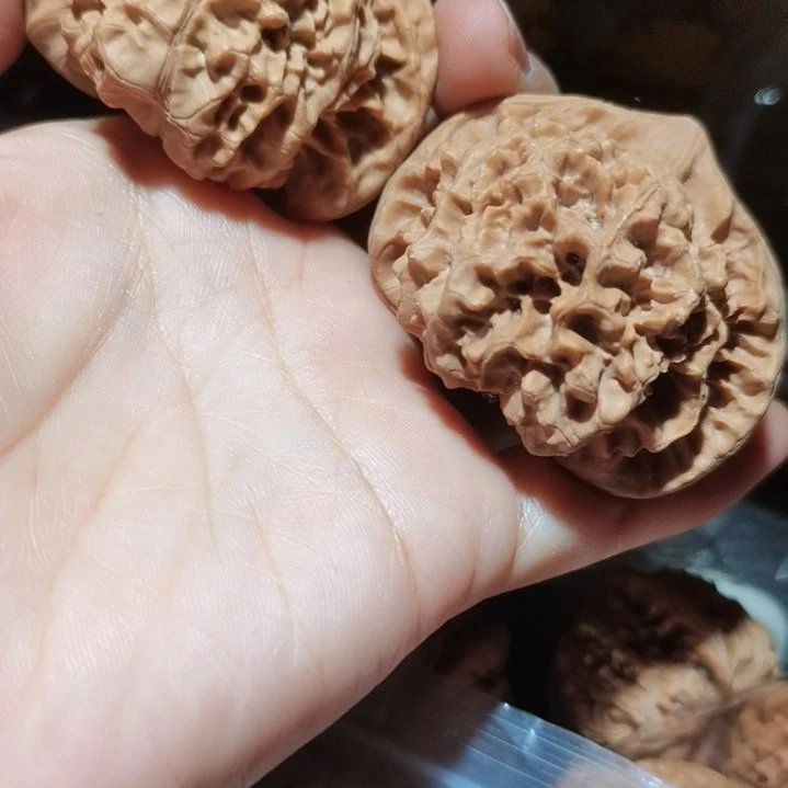 猴头核桃吊坠53龙鼎官