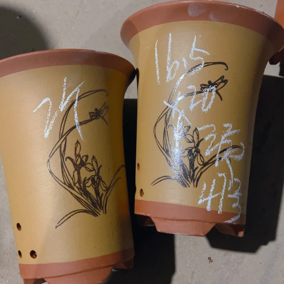 紫砂47……………………………………