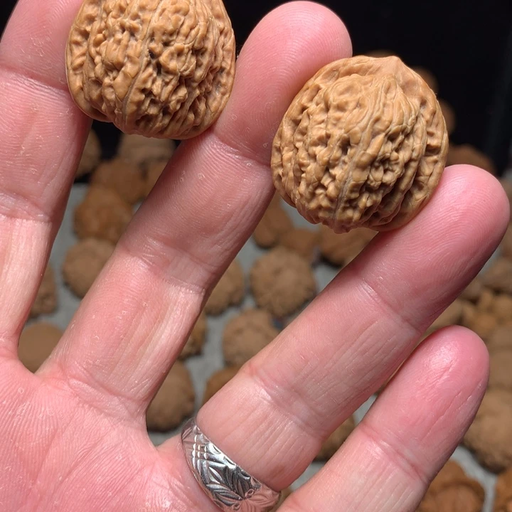 桃核把件平谷楼2.9