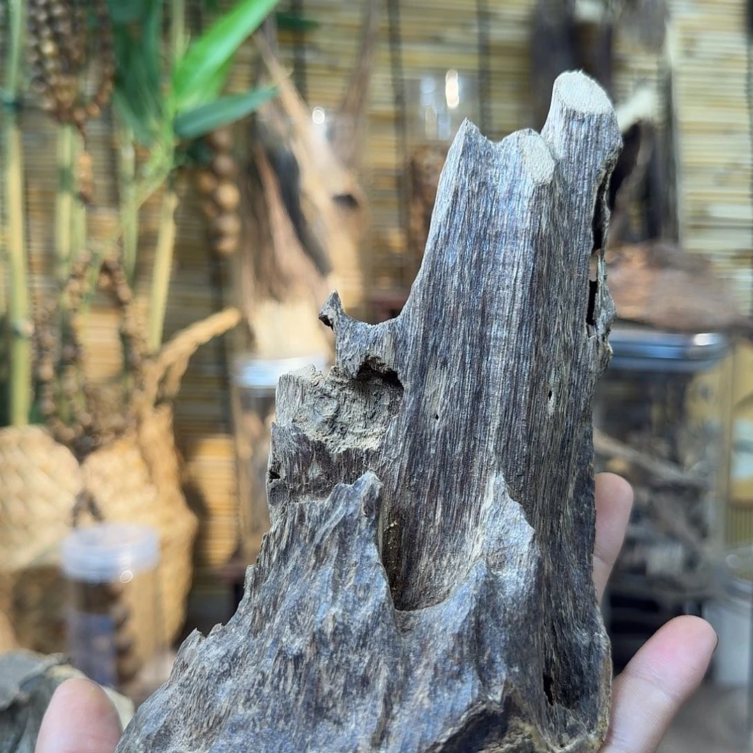 碧***G沉香碎屑沉香沉香大壳子89g