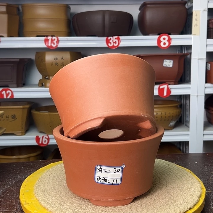 花盆紫砂你在一起