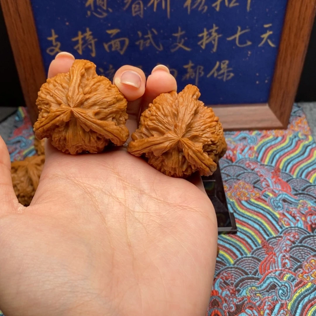 【闪购商品】明****唐白狮