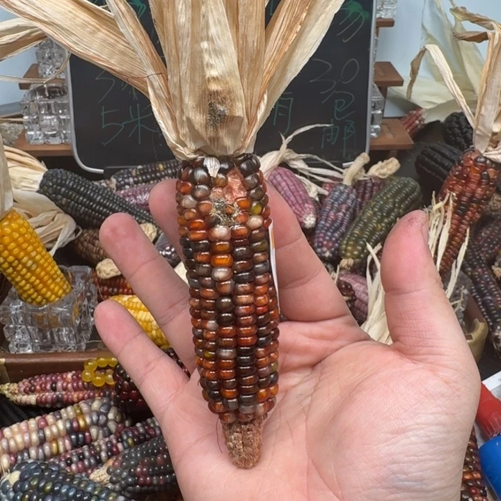 柏香籽/百香籽吊坠米*