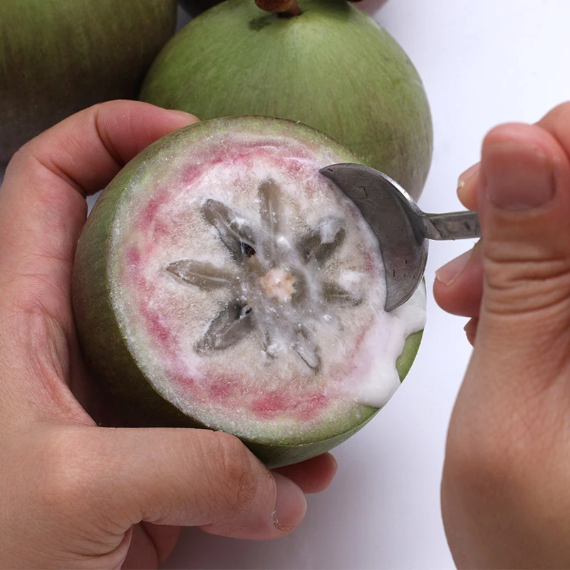 新鲜牛奶果热带新鲜水果金星果星苹果宝宝孕妇月子果当季黄金果