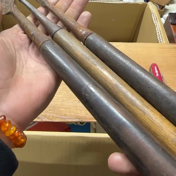 浮**梦与哈哈哈哈哈哈哈哈