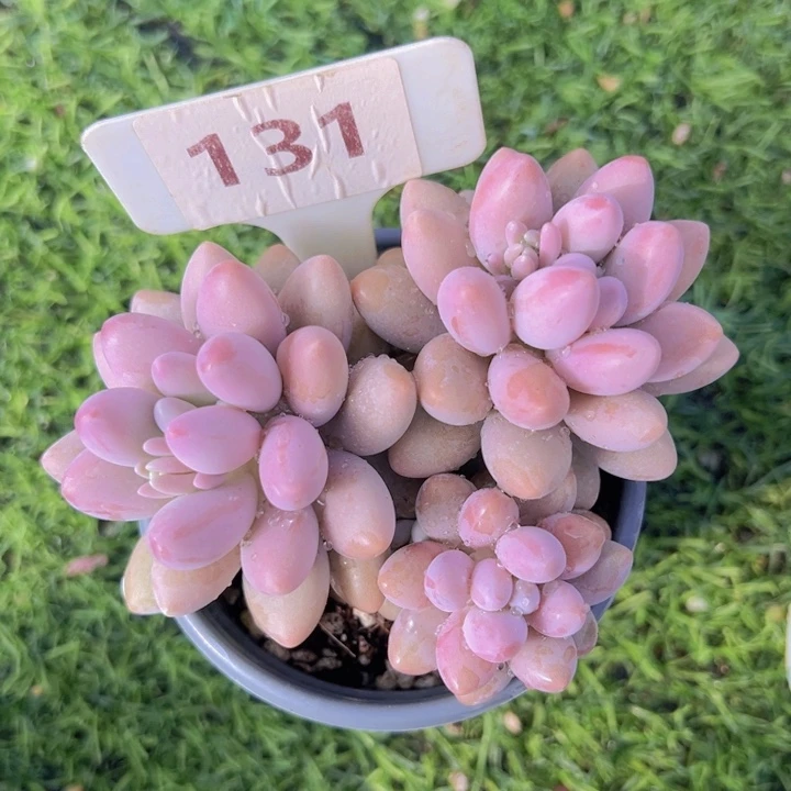 健健康康平平安安