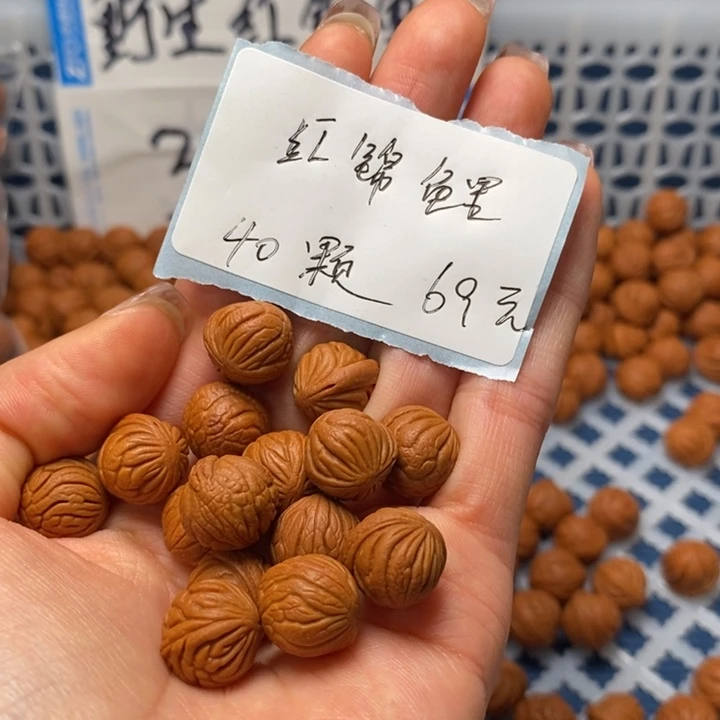 桃核手串刚*12尺寸左右野生红锦鲤打好底带绳（打孔）