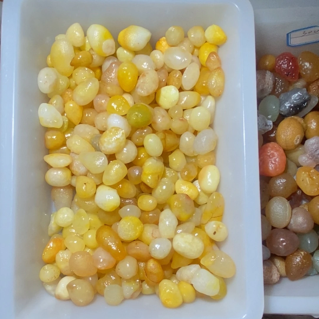 孑***身阿拉善黄色系列的喔