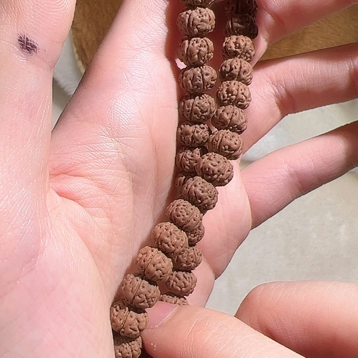 金刚菩提吊坠107黄家驹妈妈奶奶坎坎坷坷看