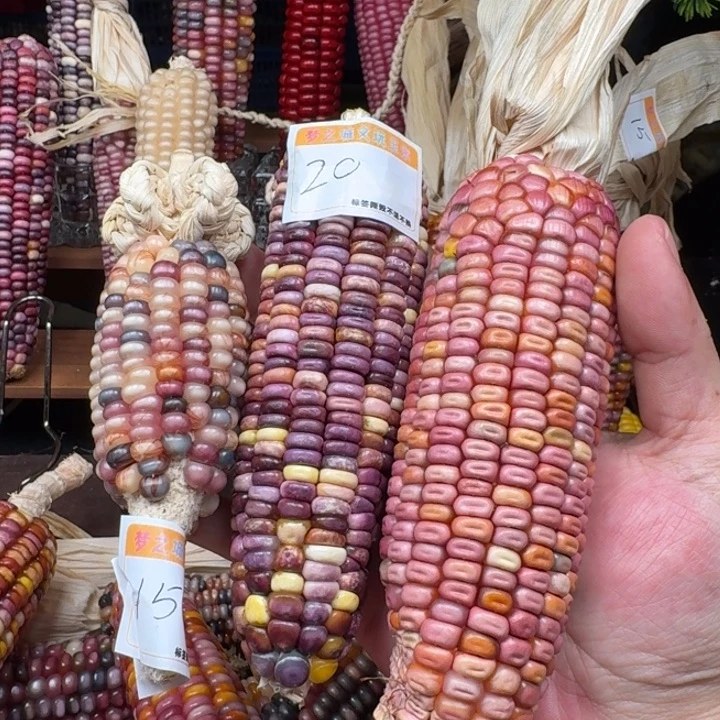 爱***菜吊坠柏香籽/百香籽
