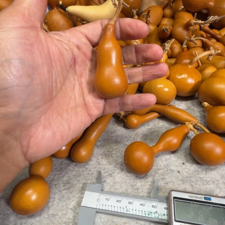 曾***经南京的一把小本子小本长糊了