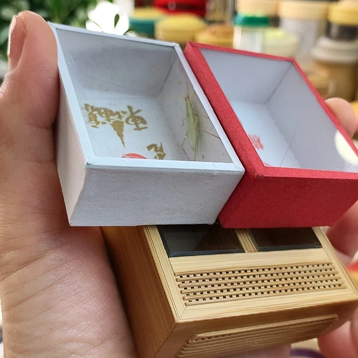溜***溜带紫竹➕柬埔寨啊啊啊