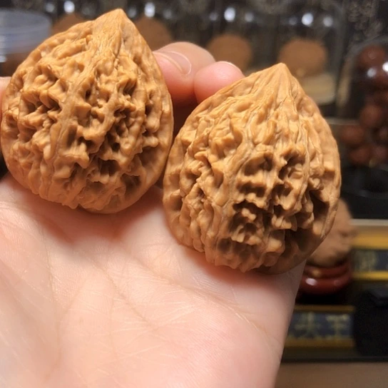 野生小众：秦鸡全品