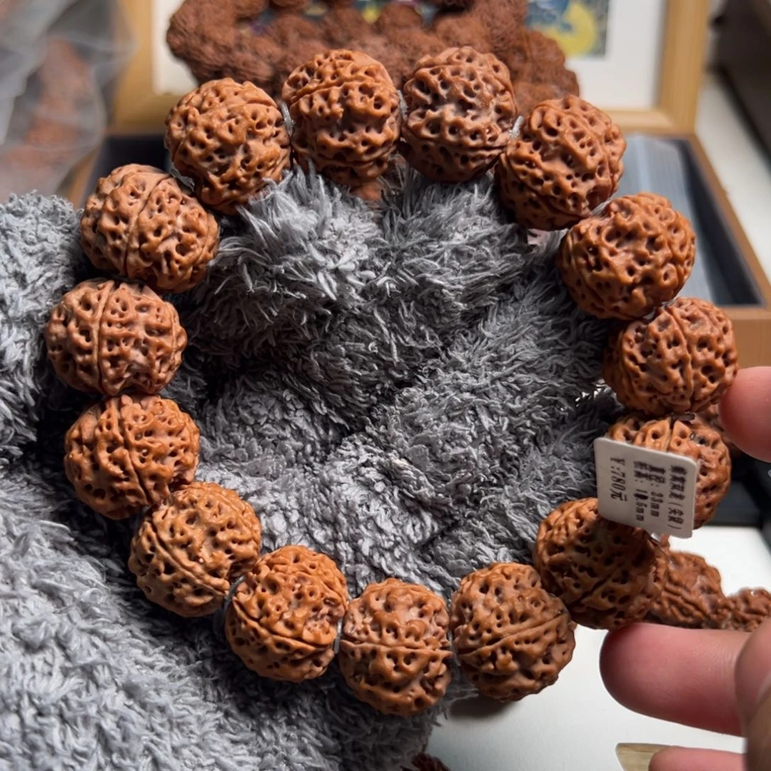 金刚菩提手串蜂窝双龙A2