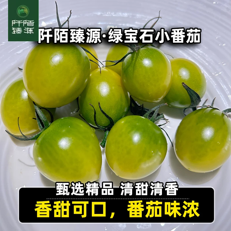 阡陌臻源-一抹嫣红绿宝石小番茄2.8斤青玉小西红柿鲜采 顺丰空运
