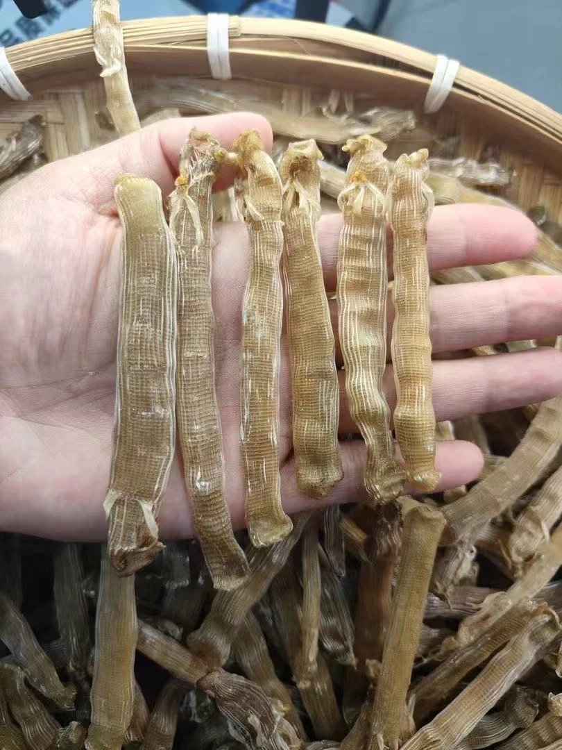 北海本地净沙沙虫干，野生沙虫干