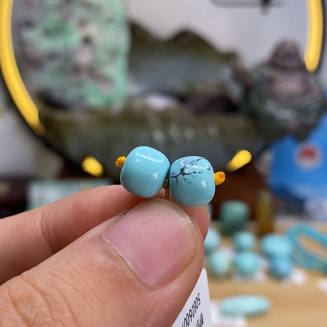 未镶嵌绿松石珠宝奇石8.6