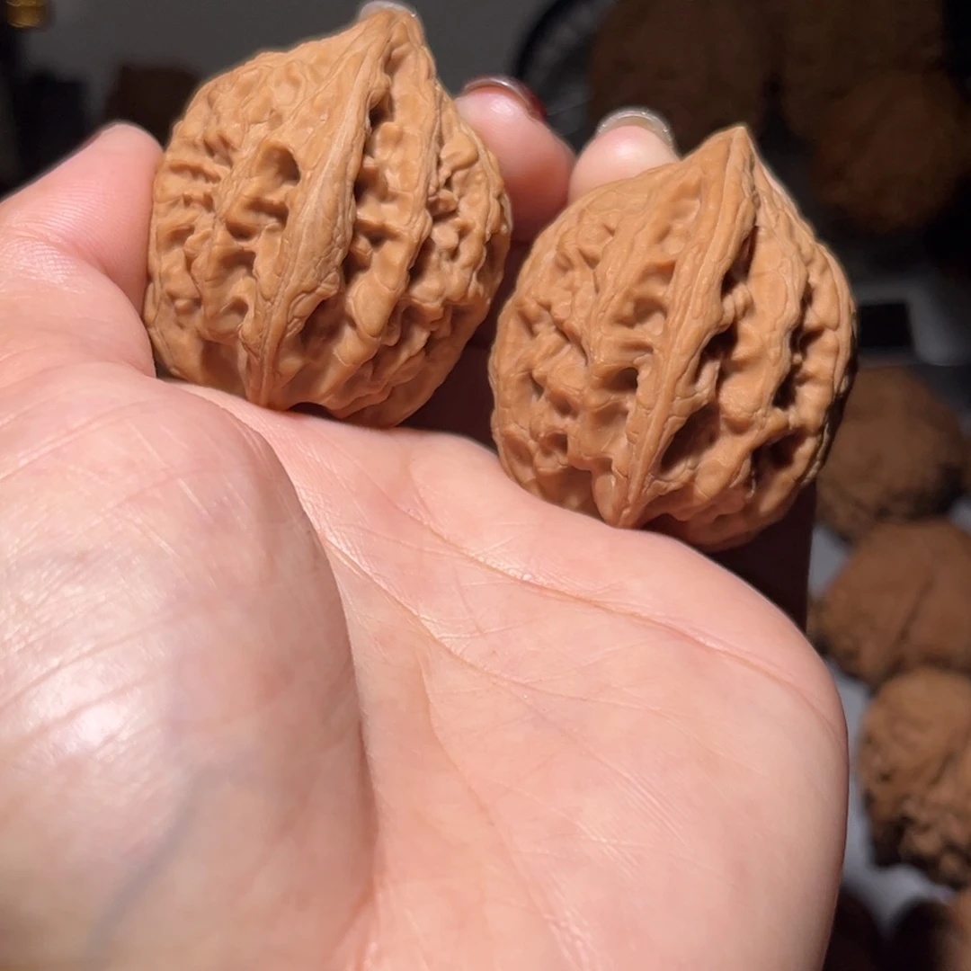 木质类大沽石38全品