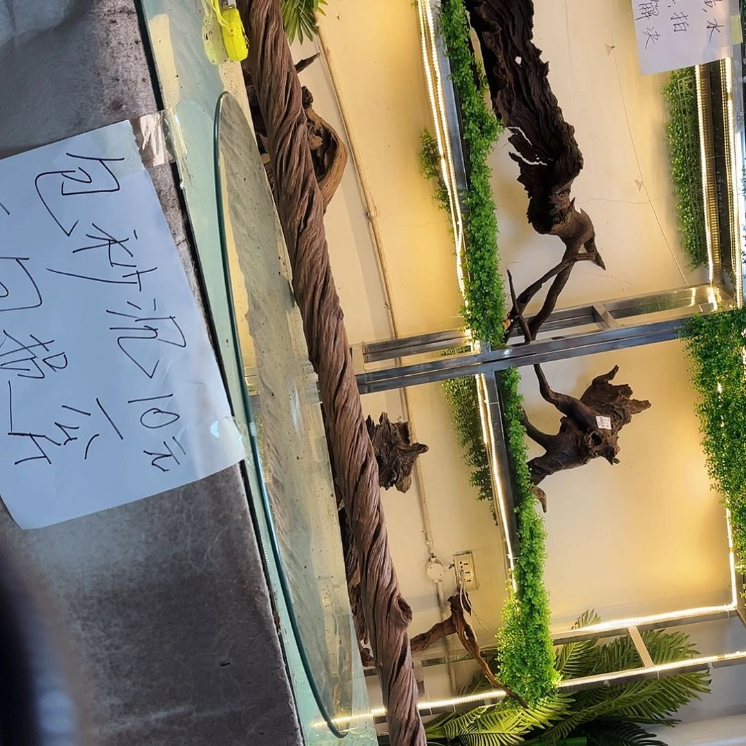 柚木疯**吧沉木鱼缸造景