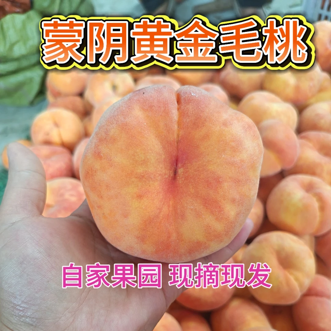 新鲜应季正宗蒙阴黄金毛蟠桃香甜多汁自家果园现摘